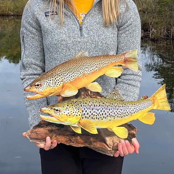 Brown Trout Duo 2D Wall Art Replica -21 Inch Flat Metal Realistic Brown Trout Fish Art, Rustic Lake, Lodge and Cabin Decor