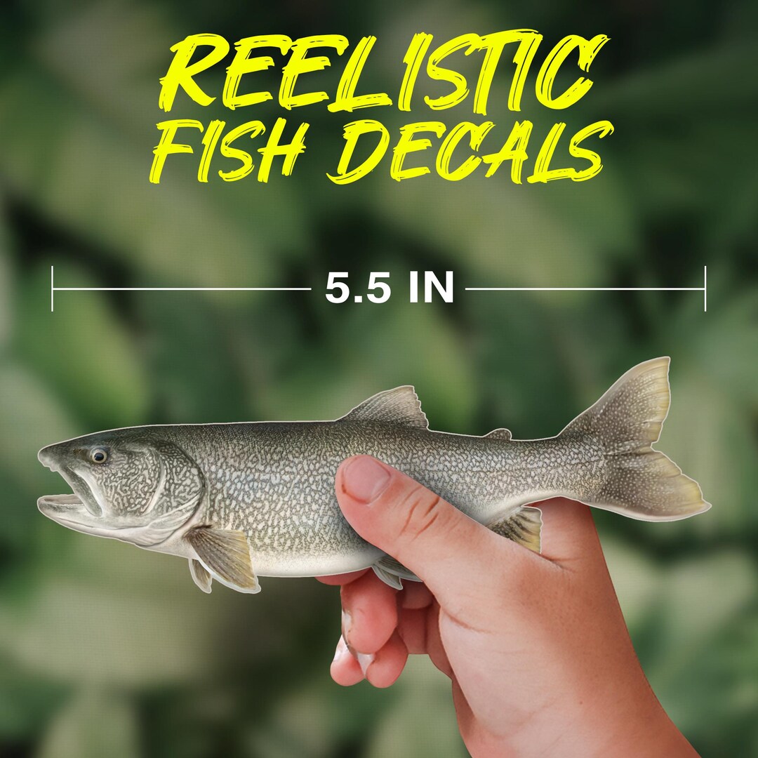 Lake Trout Fish Decal – Realistic Waterproof Vinyl Sticker for Boats ...