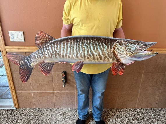 Musky Mount, 52 Inches, Metal, Musky Replica Fish Mounts for Sale