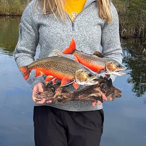 Brook Trout Replica Duo Wall Art -19 Inch Realistic 2D Metal Brook Trout Driftwood