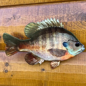 Bluegill Mount - Sunfish Replica - 2D Metal, Realistic Bluegill Wall Mount, Lodge Decor, Cabin Decor and Lake Home Decor