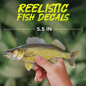 Walleye Hecht Fisch Aufkleber