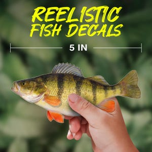 ジャンボパーチフィッシュデカール
