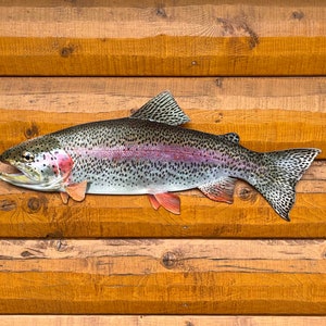 Rainbow Trout Replica -26 Inch Realistic Rainbow Trout Wall Art, Rustic Decor, Lodge Decor, and Lake Home Decor