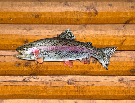 Réplique Truite Arc-en-ciel Peinte à La Main – Décor Mural Poisson, Chambre Ou Salon