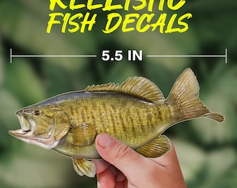 Smallmouth Bass Fish Decal