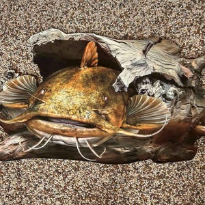 Flathead Catfish Log Replica (Flat) Metal Wall Art Display