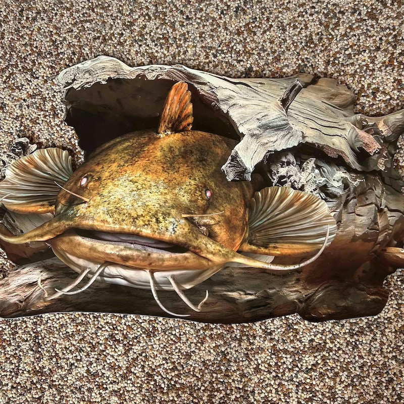 Catfish Art - Etsy