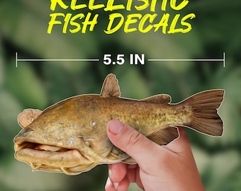 Flathead Catfish Fish Decal – Realistic Waterproof Vinyl Sticker for Boats, Trucks, Coolers & Tackle Boxes