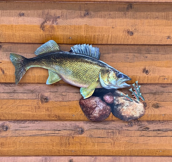 Walleye Replica Mount 24 Inch Walleye Replica Scene, Fish Art