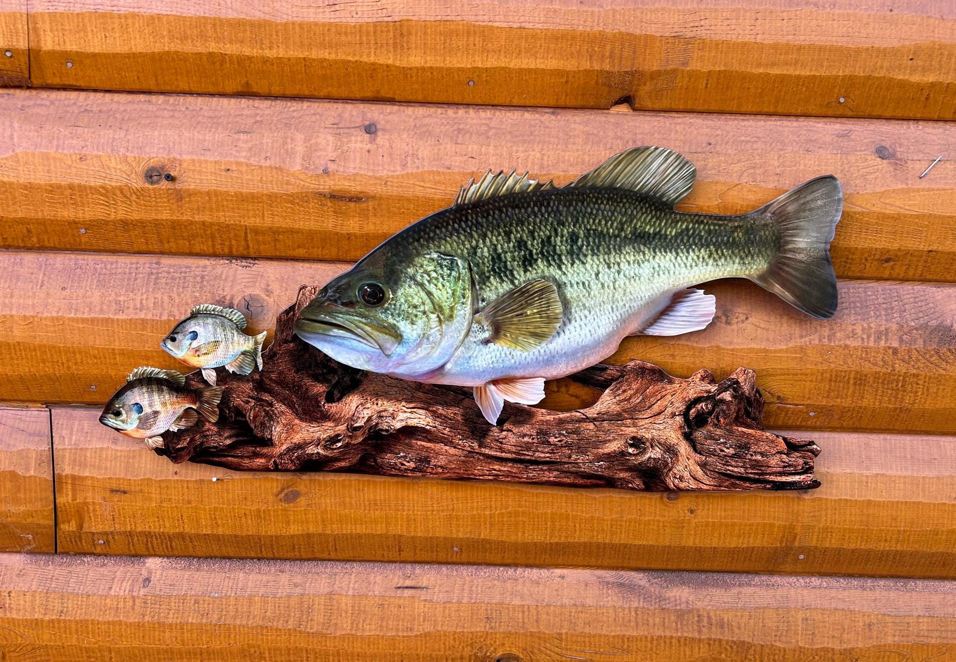 Largemouth Bass Replica - 2D Flat Metal Largemouth Replica for