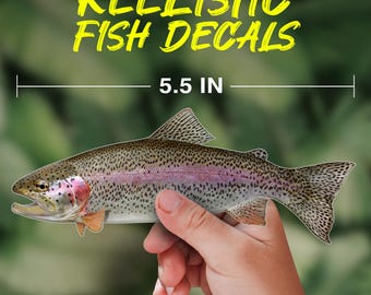 Rainbow Trout Fish Decal