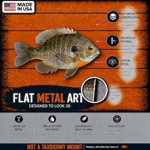 K&ouml;nnte beinhalten: Ein flaches Wandkunstobjekt aus Metall mit einem hochaufl&ouml;senden Bild eines Fisches mit braunen und orangefarbenen Schuppen. Das Design enth&auml;lt Textbeschriftungen zu Merkmalen wie flacher Metallkonstruktion, 18-Gauge-Metall und einer Halterung.