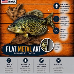 May include: Flat metal art of a crappie fish, designed to look 3D. The fish features a detailed, high-resolution image infused into the metal. The artwork is lightweight and easy to hang, with a durable, high-gloss finish. Made in the USA.