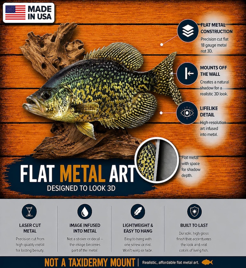 May include: Flat metal art of a crappie fish, designed to look 3D. The fish features a detailed, high-resolution image infused into the metal. The artwork is lightweight and easy to hang, with a durable, high-gloss finish. Made in the USA.