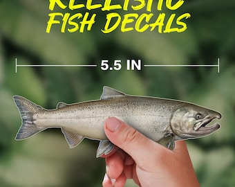 King Salmon Fish Decal – Realistic Waterproof Vinyl Sticker for Boats, Trucks, Coolers & Tackle Boxes