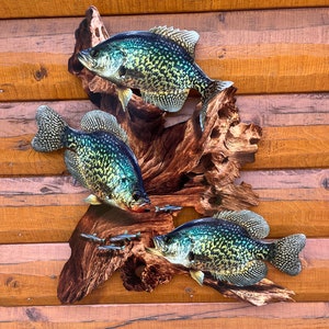 Crappie Replica Driftwood Scene Flat 2D Metal Rustic Decor, Crappie Wall Art, Lodge, Cabin and Lake Home Decor