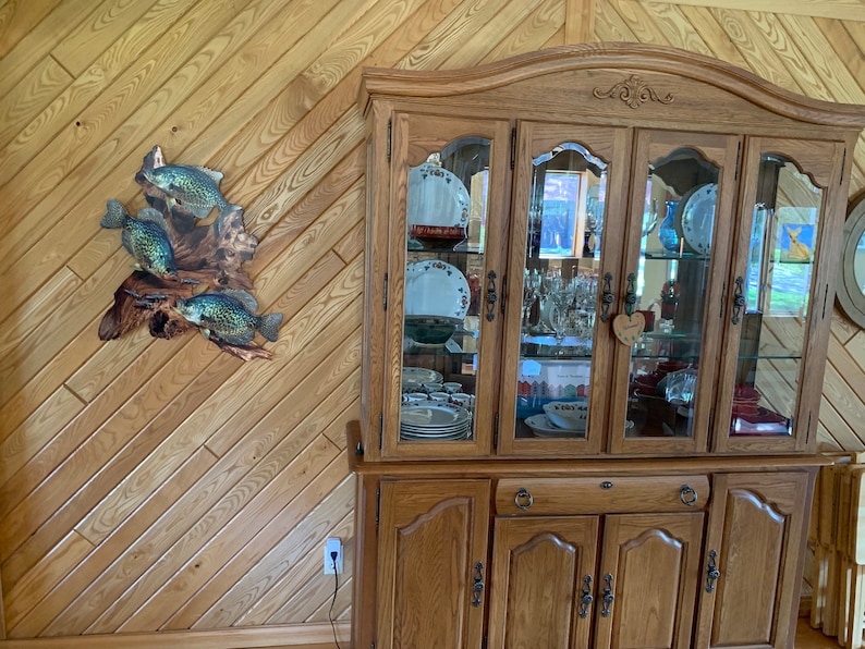 May include: A wooden wall hanging featuring three crappie fish sculptures mounted on driftwood. The fish are painted with realistic details and colours. A large wooden cabinet with glass doors is in the background, displaying dishes and glassware.
