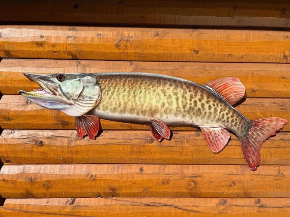 Musky Mount, 52 Inches, Metal, Musky Replica Fish Mounts for Sale, Cabin,  Lodge & Lake Home Decor -  Finland