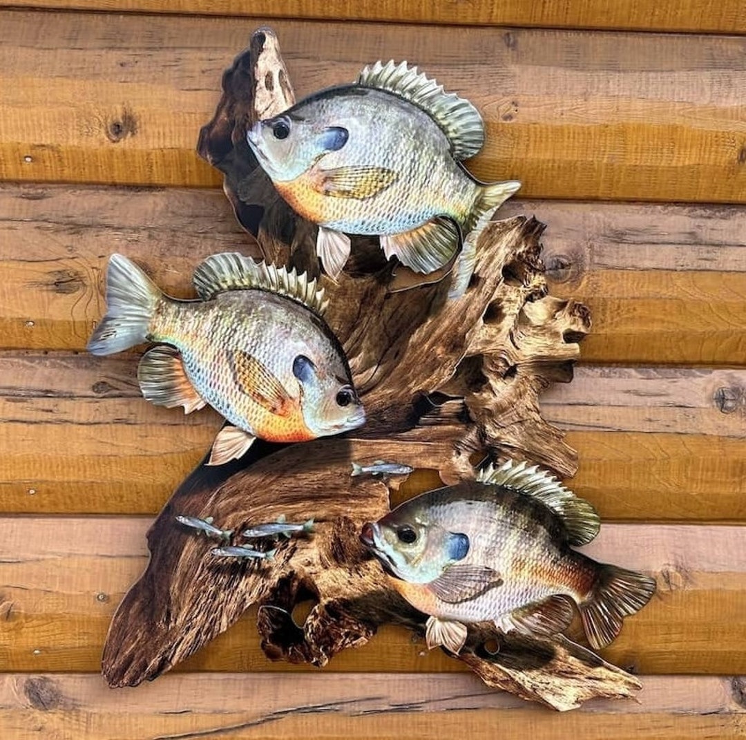 Bluegill Replica Driftwood Scene Rustic Home Decor, 2D Flat Metal, Lake