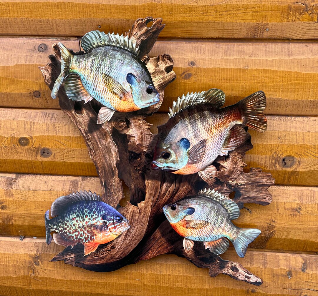 Bluegill Replica Driftwood Scene Rustic Home Decor, 2D Metal, Lake Home