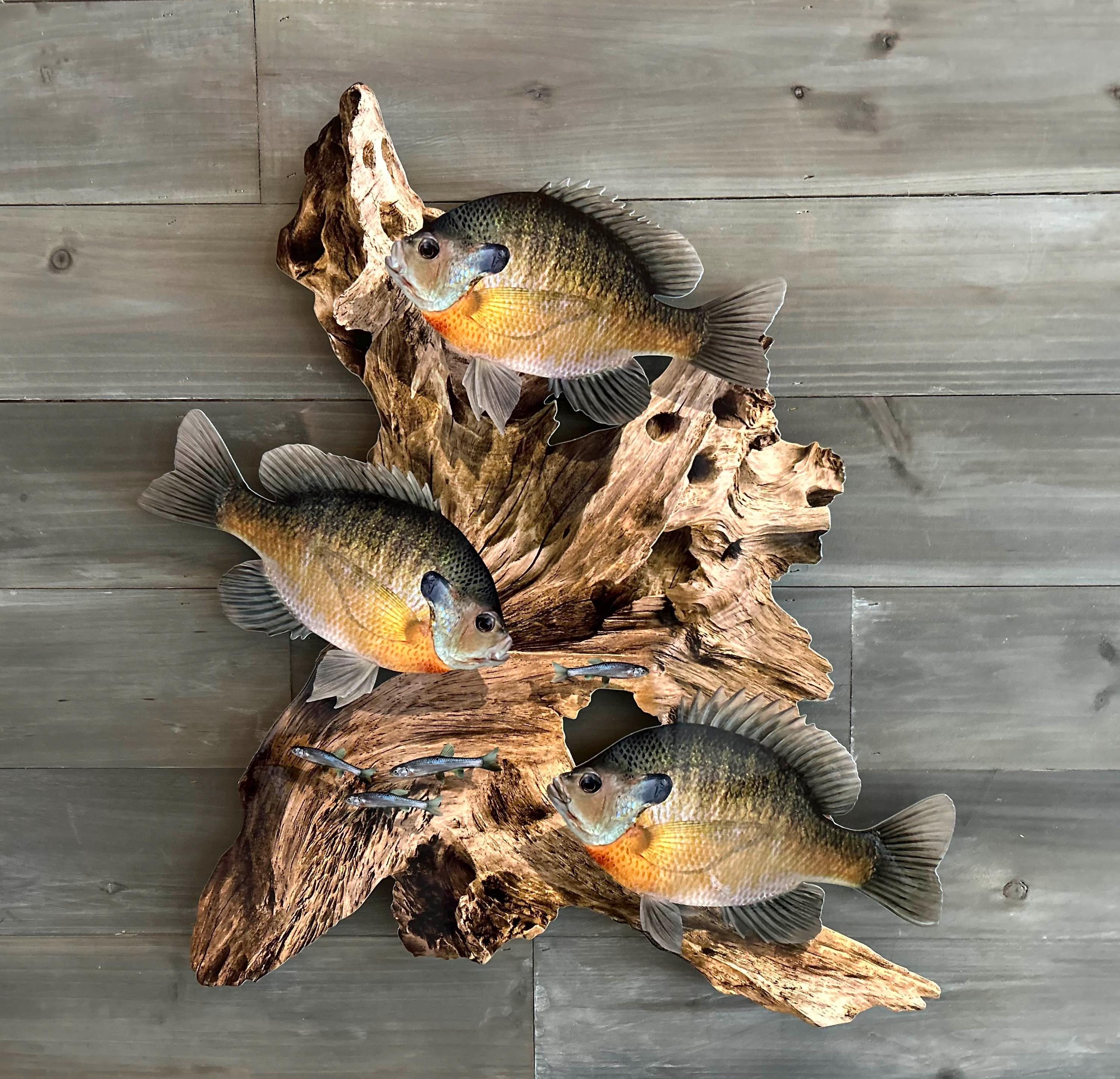 Vintage Fish Decor - Etsy