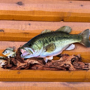 Large mouth Bass　壁掛け剥製 Reproduction Largemouth Bass Heads | Waters by Klaus