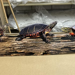May include: A decorative wooden log with three painted turtles. The turtles have black shells with yellow and red markings. The log has a textured, brown appearance.