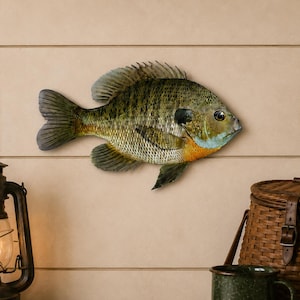 K&ouml;nnte beinhalten: Eine dekorative Fischfigur zur Wandmontage mit einem gesprenkelten olivgr&uuml;nen und braunen K&ouml;rper, einem markanten dunklen Fleck am Kiemendeckel, einem hellblau get&ouml;nten Wangenbereich und einem leuchtend orange-gelben Fleck am unteren Bauch.