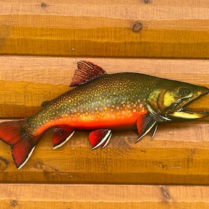 Brook Trout Replica - 23 Inch Trophy Brook Trout 2D Flat