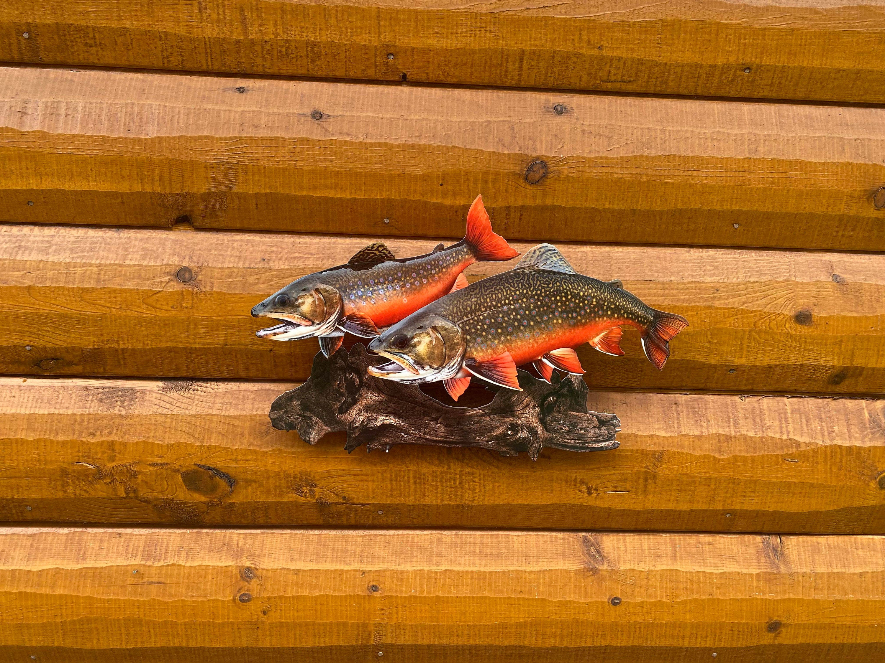 Brook Trout Replica Duo Wall Art -19 Inch Realistic 2D (flat