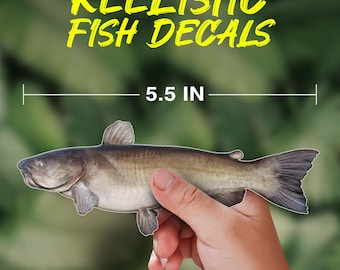 Channel Catfish Fish Decal – Realistic Waterproof Vinyl Sticker for Boats, Trucks, Coolers & Tackle Boxes