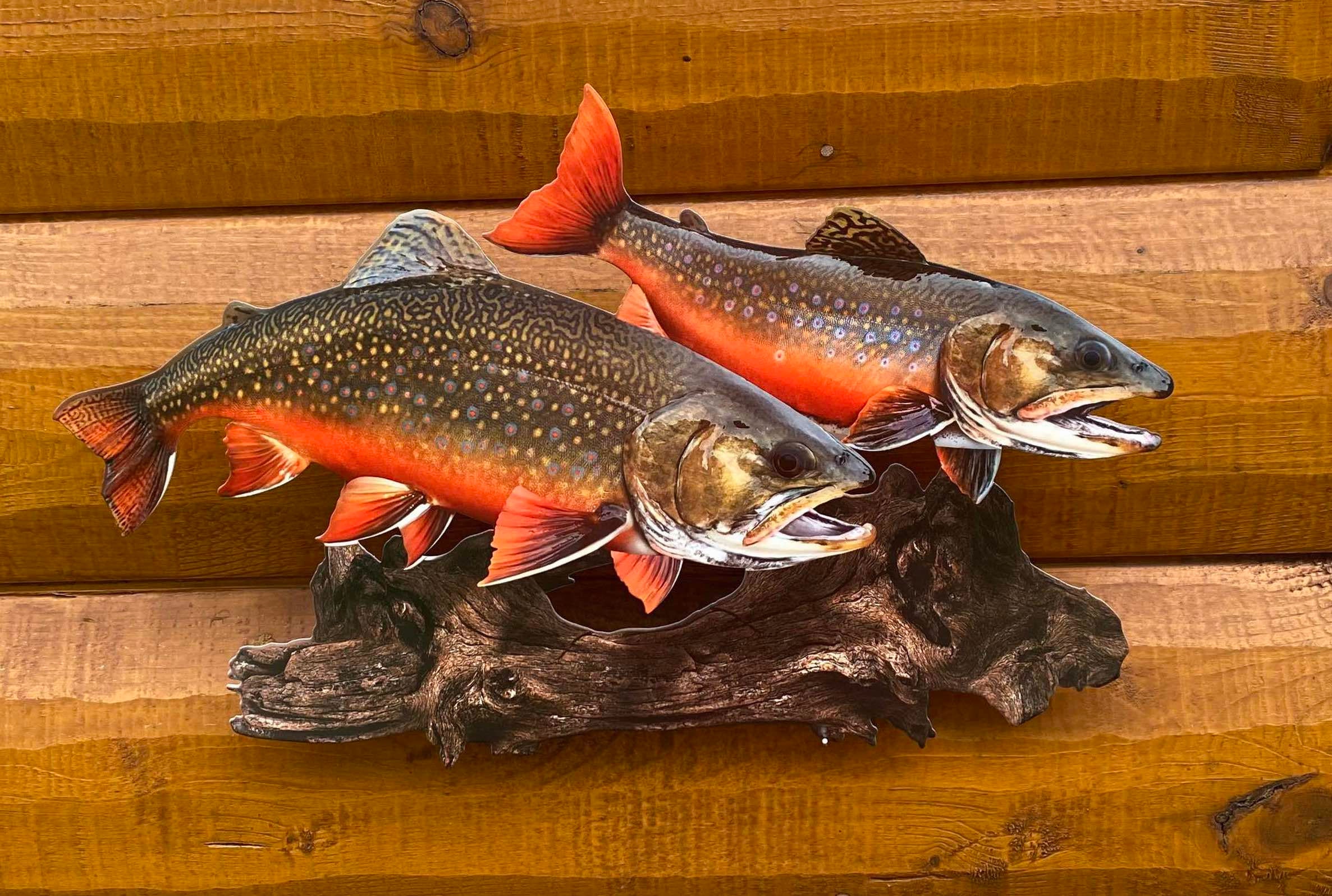Brook Trout Replica Duo Wall Art -19 Inch Realistic 2D (flat