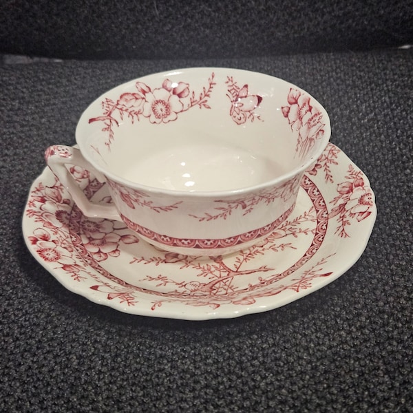 Vintage Flat Cup And Saucer Set Medway Pink Design By Alfred Meakin England Pink Flowers, Leaves, And Berries
