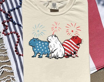 Funny 4th of July Capybara USA Flag T-shirt, Independence Day 2025 gift, Patriotic USA Shirt, Capybara Fireworks Tee, Family Matching Shirt