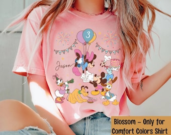 Custom Disney Mickey and Friends Birthday Shirt, Minnie Daisy Goofy Donald, Family Matching Tee, Disneyland Trip Outfit, Disney Vacation