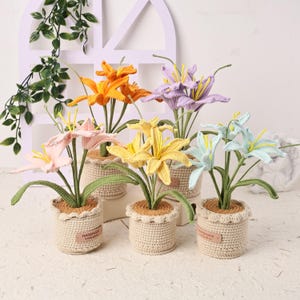May include: Six crocheted lily flowers in shades of orange, purple, yellow, pink, and blue. Each flower is planted in a beige crocheted pot with a scalloped edge. The pots have a small, brown label that reads "HANDMADE".