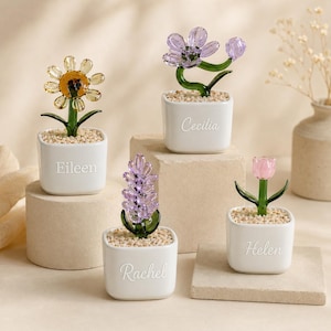 Pot de fleurs en verre personnalisé, mini plante en verre personnalisée avec nom, décoration florale artisanale pour bureau, cadeau de remerciement pour un professeur, cadeau d'anniversaire