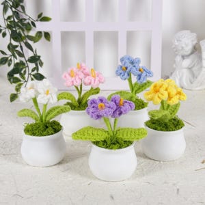 Crochet Forget-Me-Nots Potted Flower Gift Desk Accessory Knitted flowers Crochet Bouquet Gift for Housewarming Flower Arrangement Gift