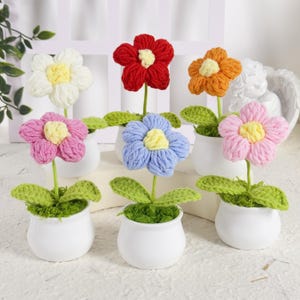 Handmade Crochet Flower in Pot, Crochet Plant in Pot, Handmade Crochet Desk Decor, Knitted Flowers Pot, Thank You for Gifts, Home Decor