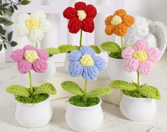 Handgemaakte gehaakte bloem in pot, gehaakte plant in pot, handgemaakt gehaakt bureaudecor, gebreide bloemenpot, bedankt voor geschenken, woondecoratie