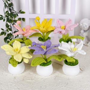 Handmade Crochet Lily in Pot, Mini Crochet Flower in Pot, Elegant Floral Decor, Crochet Decoration, Home Table Decor, Teacher Gifts