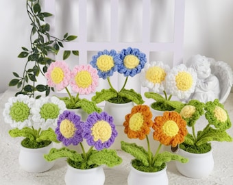 Crochet Daisy, Crochet Flower in Pot, Housewarming Gift, Desk Decoration, Room Decoration, Handmade Flower, Car Decor, Knitted Plant