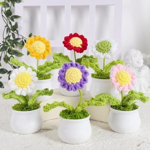 Handmade Crochet Flower in Pot, Crochet Daisy in Pot, Handmade Crochet Desk Decor, Knitted Flowers Pot, Thank You for Gifts, Home Decor
