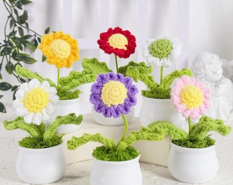 Handmade Crochet Flower in Pot, Crochet Daisy in Pot, Handmade Crochet Desk Decor, Knitted Flowers Pot, Thank You for Gifts, Home Decor