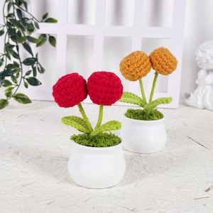 Puede incluir: Dos arreglos florales de ganchillo en macetas de cerámica blancas. Un arreglo presenta dos flores rojas, el otro tiene dos flores naranjas. Las flores tienen tallos y hojas verdes y se asientan en un lecho de musgo verde. El fondo incluye una ventana blanca y vegetación.
