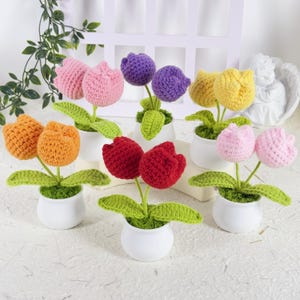 May include: A selection of handmade crochet tulip flowers in various colours, including pink, purple, yellow, orange, and red. Each flower is planted in a small white pot with green leaves and moss.