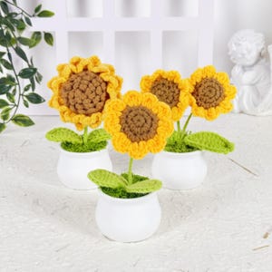 Può includere: Quattro girasoli all'uncinetto in vasi di ceramica bianchi. I girasoli hanno petali gialli e centri marroni. Foglie verdi e materiale simile a muschio circondano i fiori nei vasi. Lo sfondo include una finestra bianca e una piccola statua.