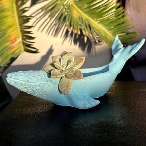 Weißer Keramik-Übertopf Mit Wal-Motiv – 8,9 X 7,6 Cm, Ohne Ablaufloch, Für Sukkulenten & Deko