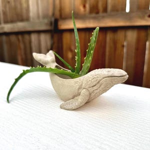 Goccia di metallo per il succo di «Kit»: pietra cementizia dalla pesca moresca